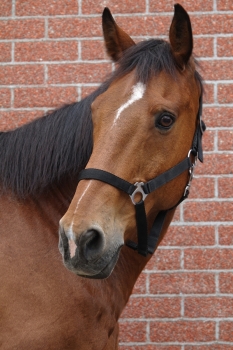 Charles